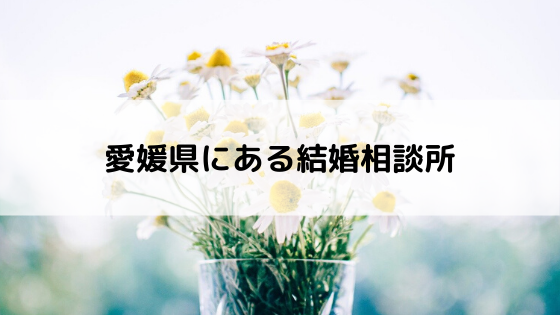 愛媛県にある結婚相談所