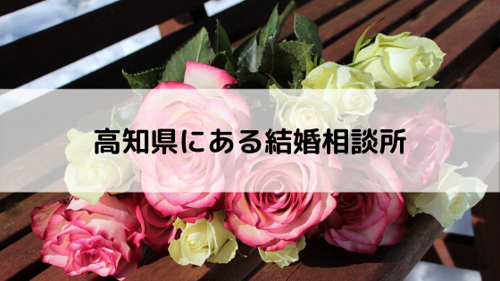 高知県にある結婚相談所